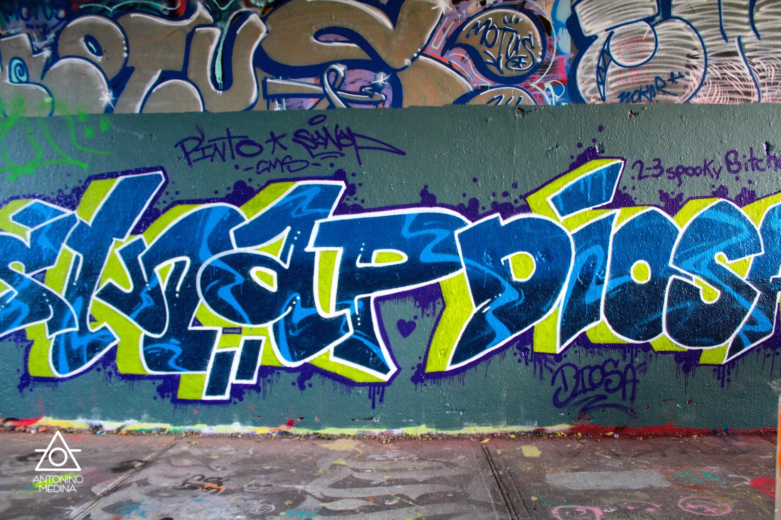 047 IMG 0279